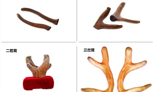闭着嘴巴睡觉会打呼噜吗-闭着嘴巴睡觉会打呼噜吗-闭嘴睡觉的好处,中国闭着嘴巴睡觉好不好网站